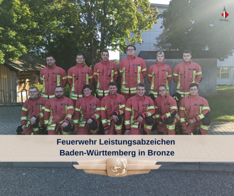 Leistungsabzeichen-Bronze