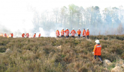 Die Feuerwehr muss einen Waldbrand löschen freiwillige-feuerwehr-bekaempft-waldbrand