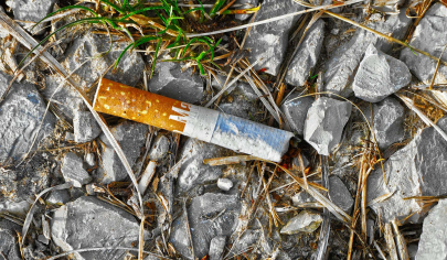 Bereits eine achtlos weggeworfene Zigarette kann einen Waldbrand auslösen. zigarette-kann-waldbrand-ausloesen